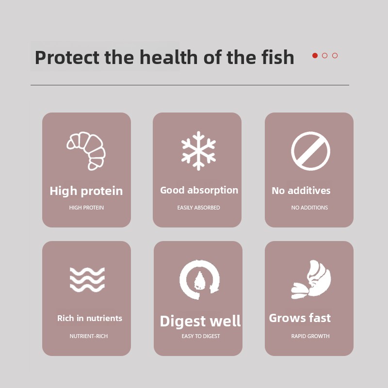Alimento en Polvo PENISON para - Whey Protein Isolate reseña y precio